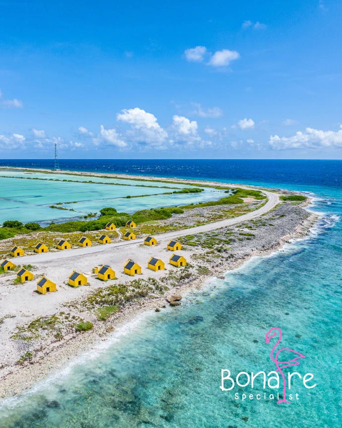 Bonaire Specialist